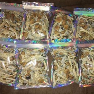 where to buy psychedelic mushrooms