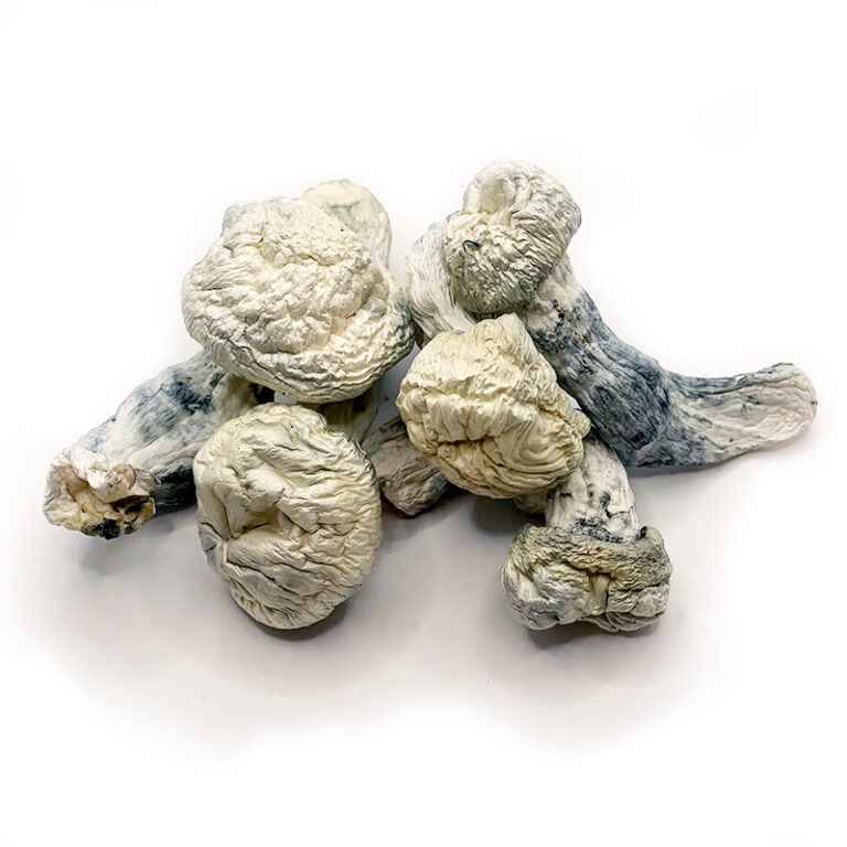 Buying psychedelic mushrooms online