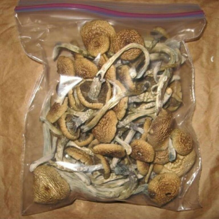 psychedlic mushroom trip